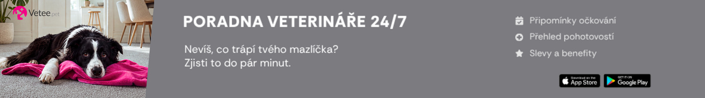 Poradna veterináře 24/7
